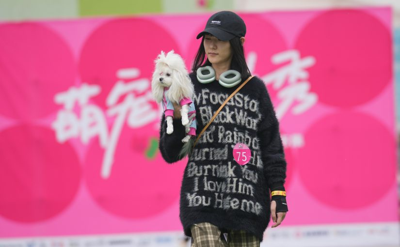 Pet events gaining increasing popularity in China